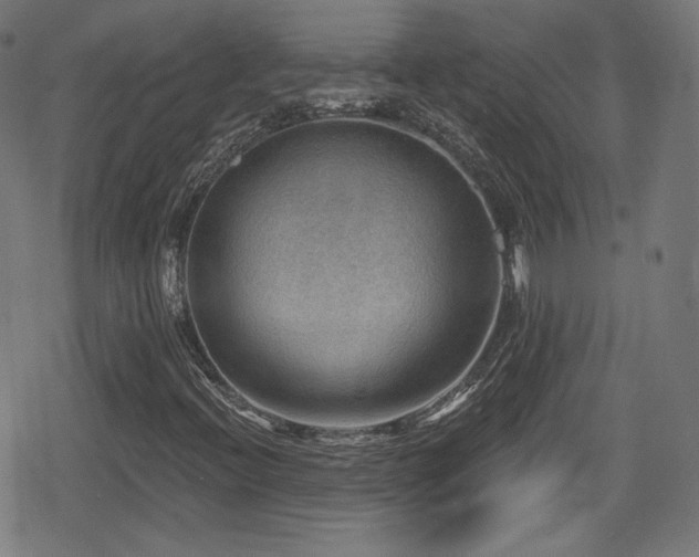 X0000078891396200611131218