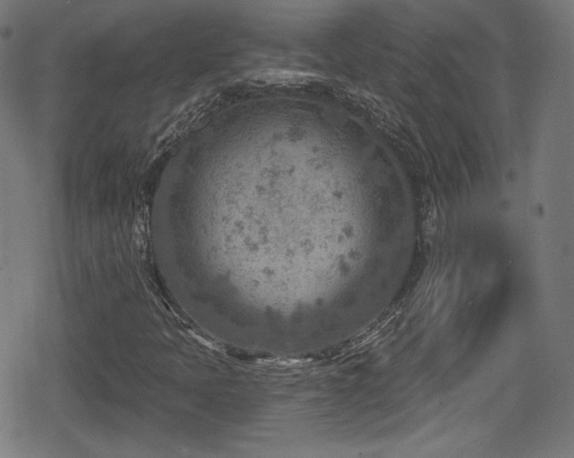 X0000078891397200611131218