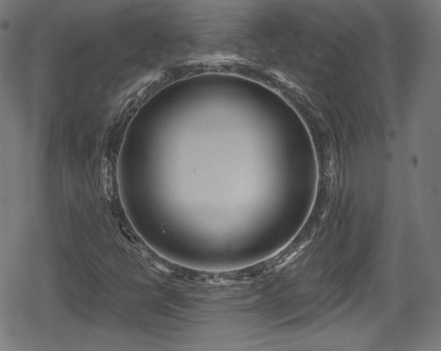 X0000078891398200611131218