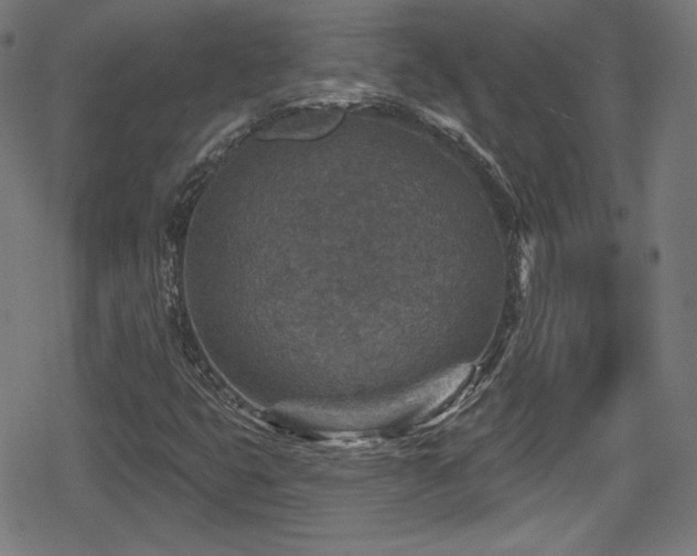 X0000078891399200611131218