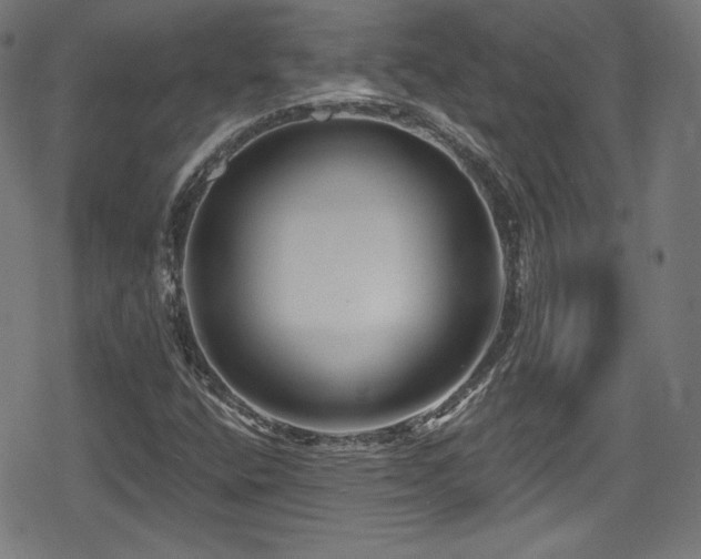 X0000078891400200611131218