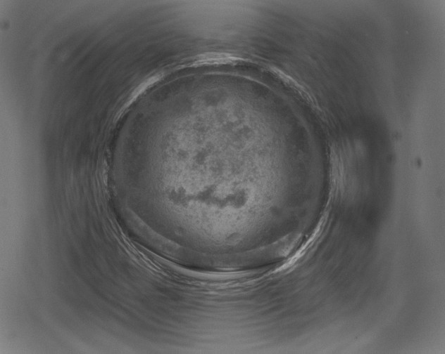 X0000078891401200611131218