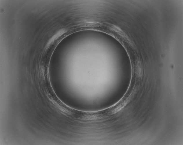 X0000078891402200611131218