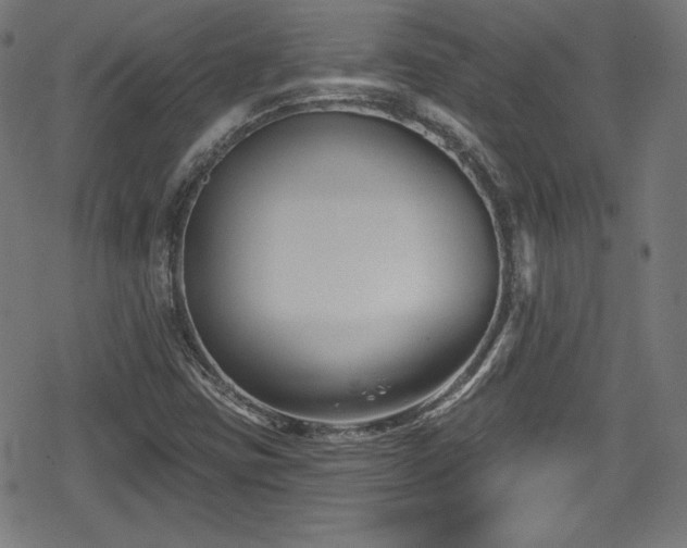 X0000078891403200611131218