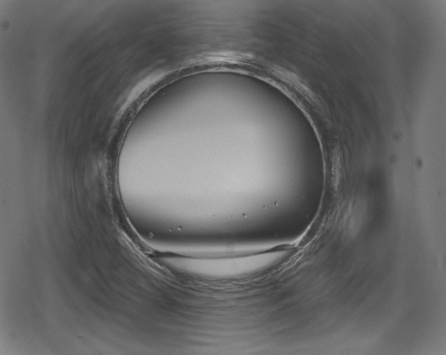 X0000078891404200611131218