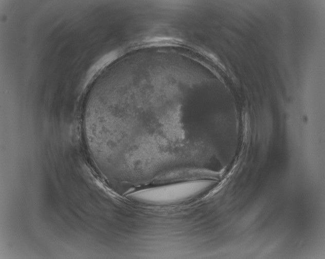 X0000078891405200611131218