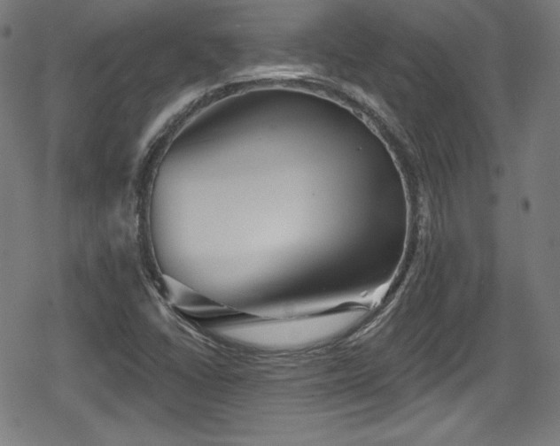 X0000078891406200611131218