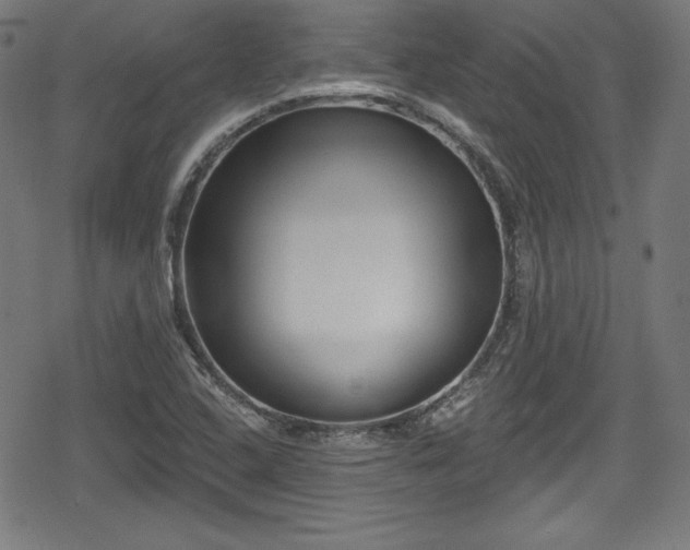 X0000078891408200611131218