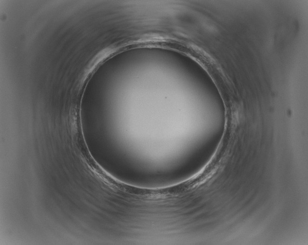 X0000078891409200611131218