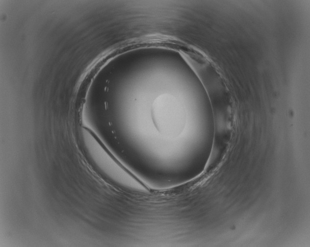 X0000078891410200611131218