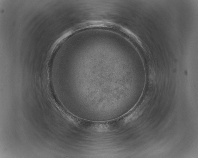 X0000078891411200611131218