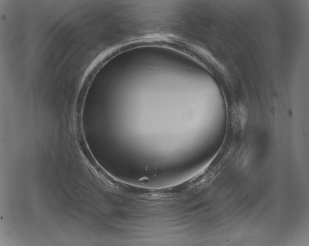 X0000078891412200611131218