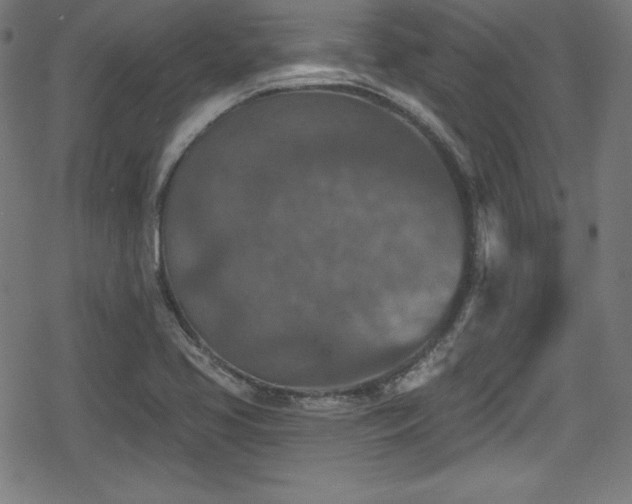 X0000078891413200611131218