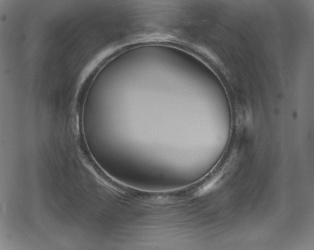 X0000078891414200611131218