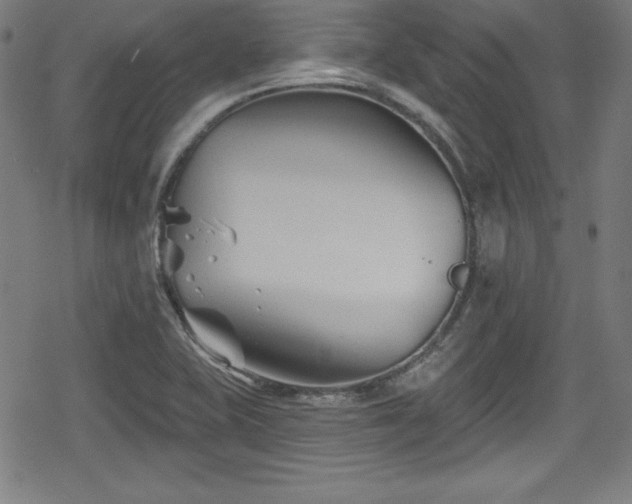 X0000078891415200611131218