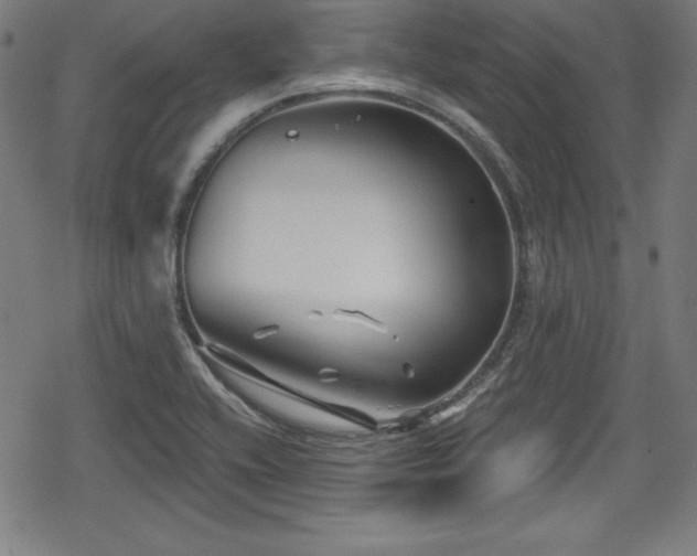 X0000078891416200611131218