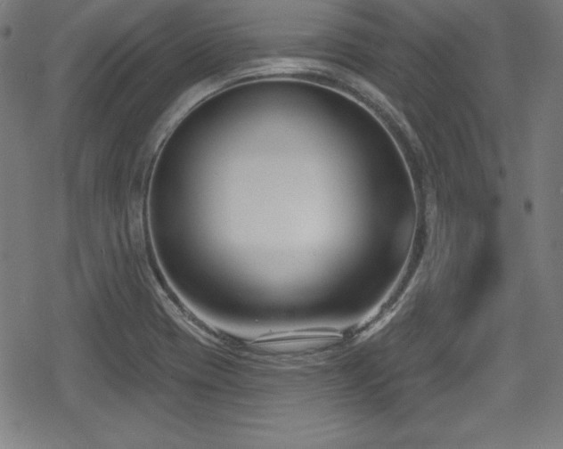 X0000078891417200611131218