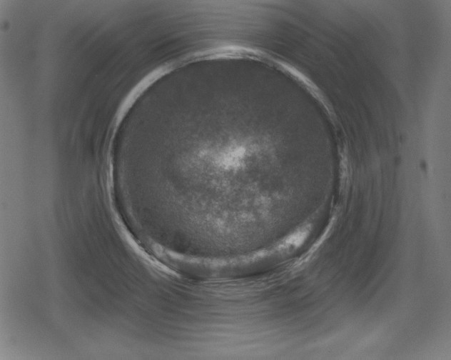 X0000078891418200611131218