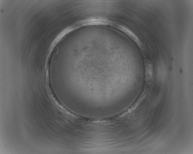 X0000078891419200611131218