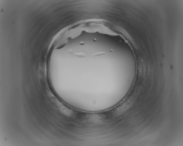 X0000078891420200611131218