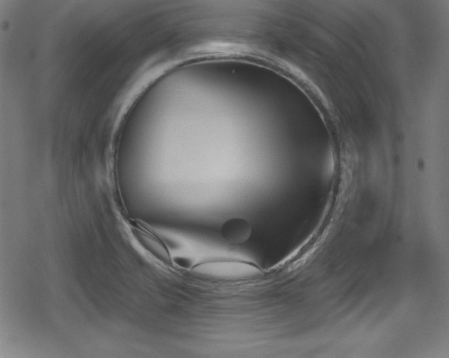 X0000078891421200611131218