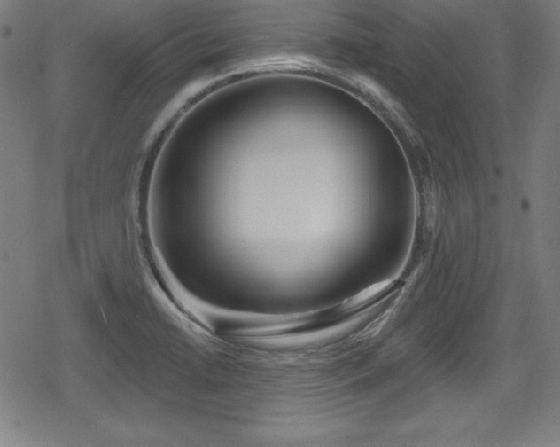 X0000078891422200611131218