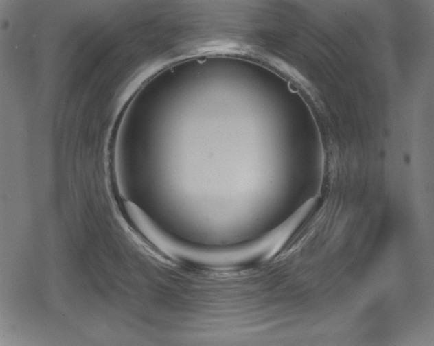 X0000078891423200611131218