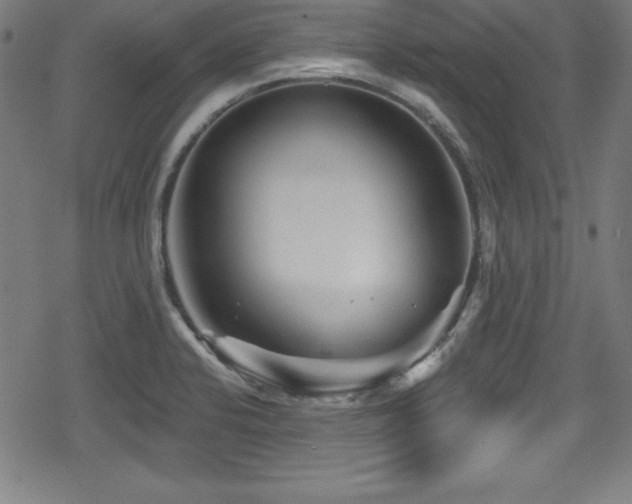 X0000078891424200611131218