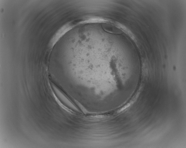 X0000078891425200611131218