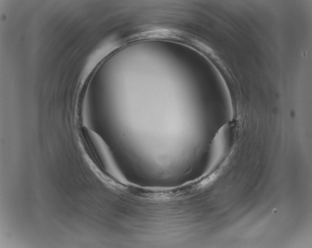 X0000078891426200611131218