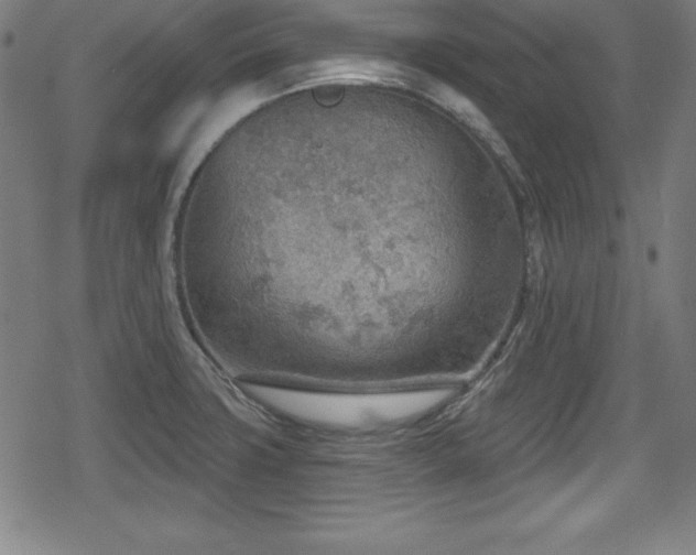 X0000078891427200611131219