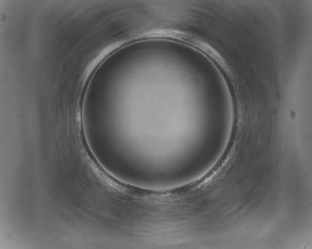 X0000078891428200611131219