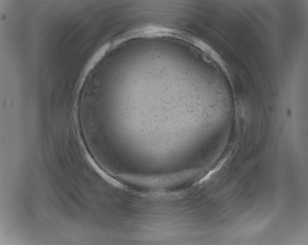 X0000078891429200611131219