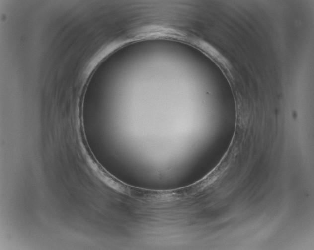 X0000078891431200611131219