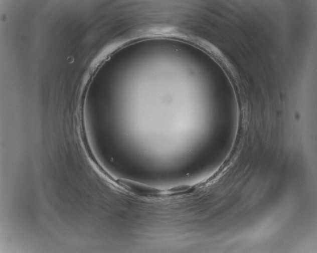 X0000078891432200611131219