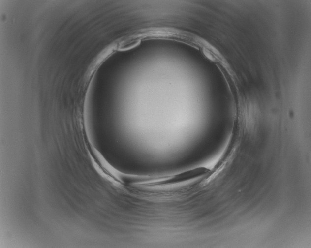 X0000078891433200611131219