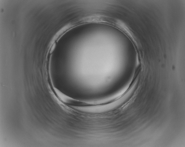 X0000078891434200611131219