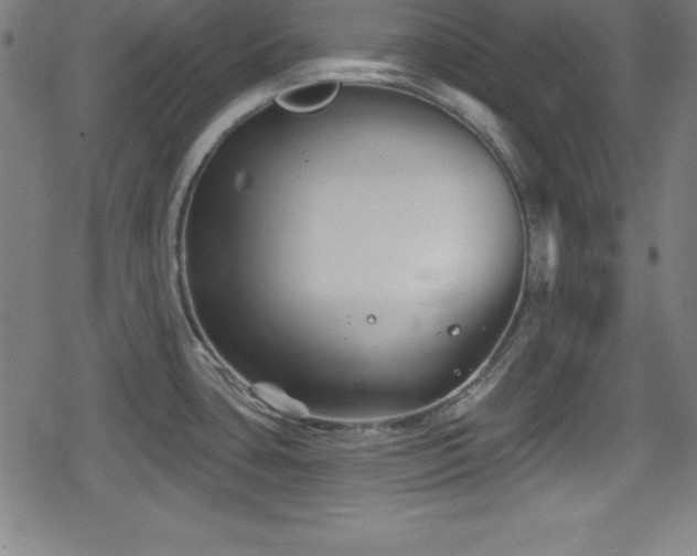 X0000078891435200611131219