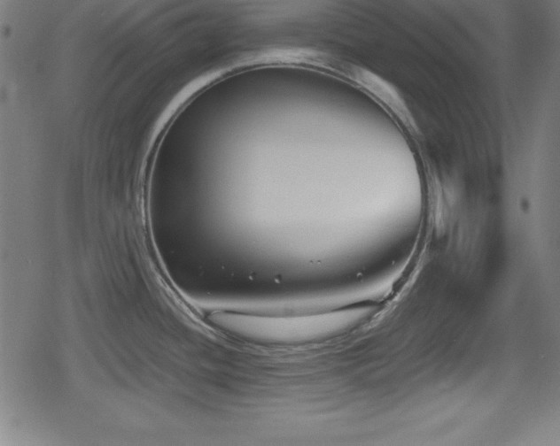 X0000078891436200611131219