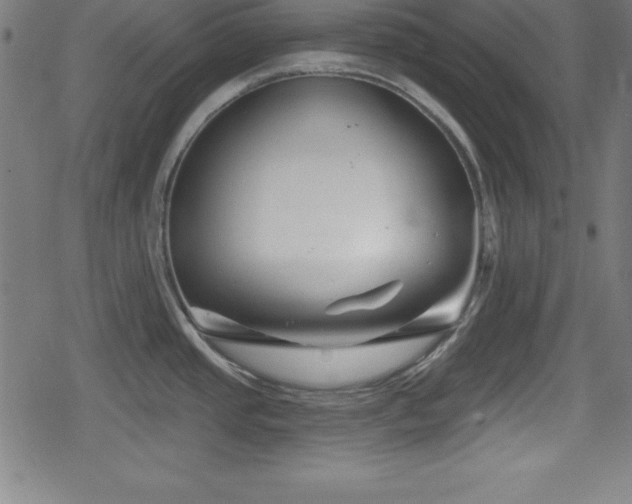 X0000078891437200611131219