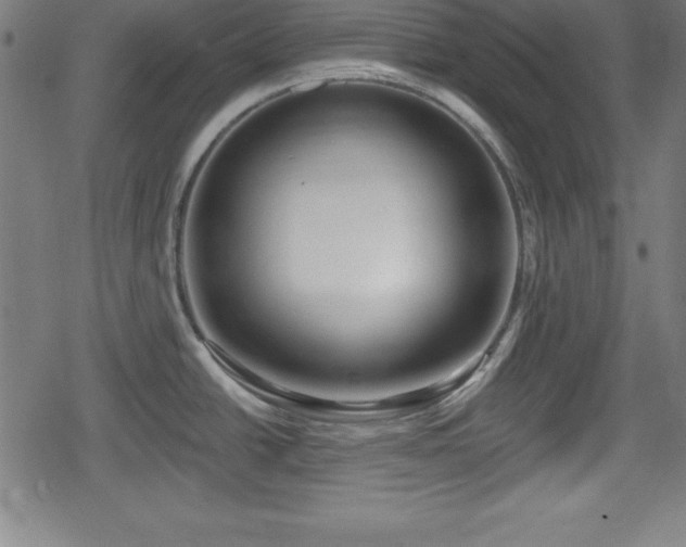 X0000078891438200611131219