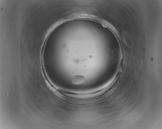 X0000078891439200611131219