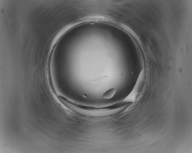 X0000078891440200611131219