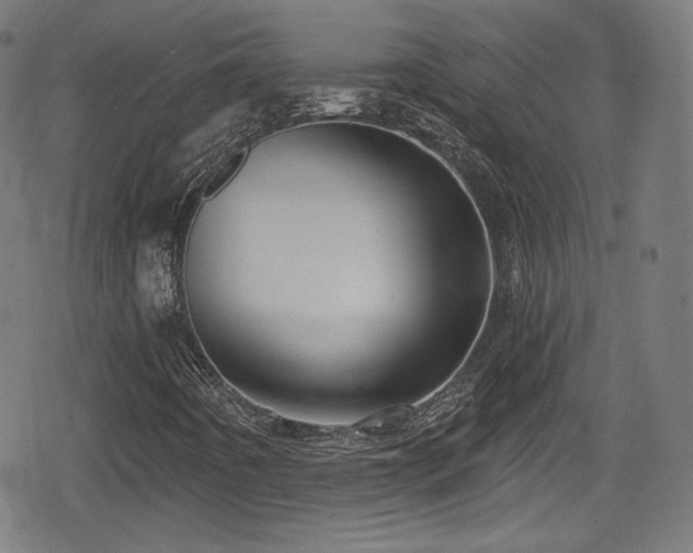 X0000078891442200611131218