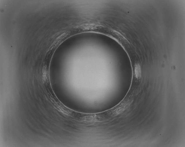 X0000078891444200611131218