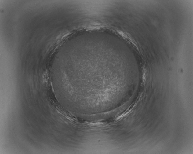 X0000078891445200611131218