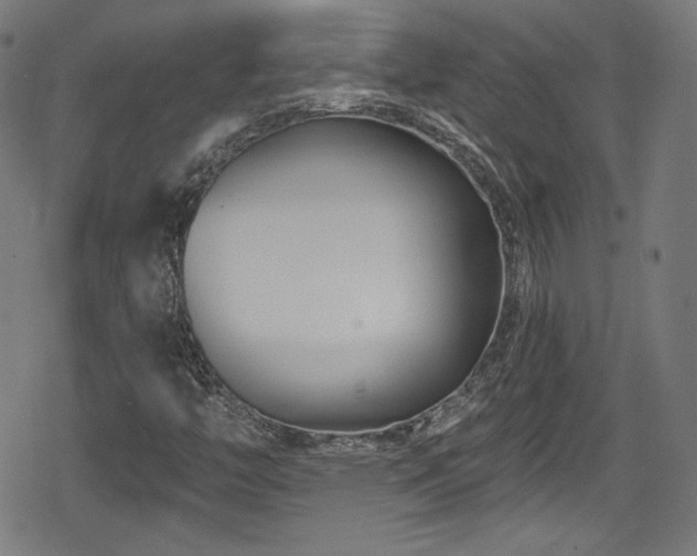 X0000078891446200611131218