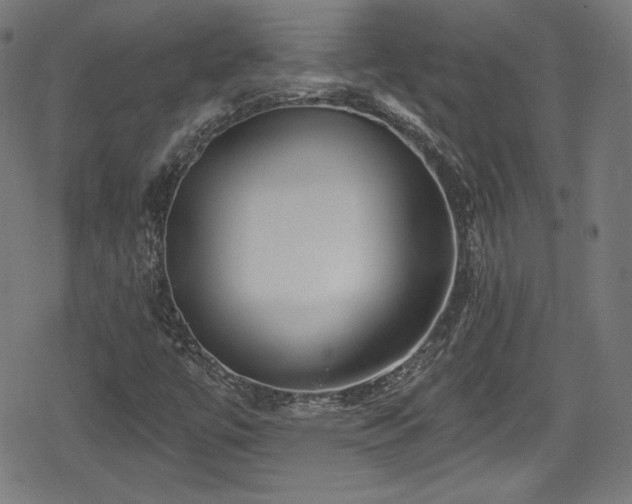 X0000078891447200611131218