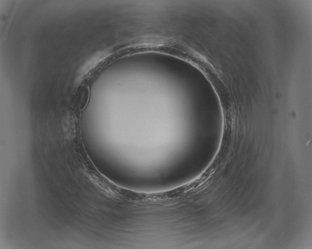 X0000078891448200611131218