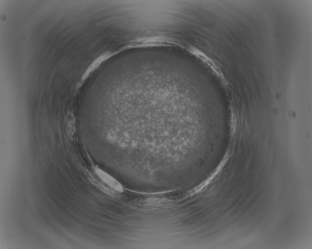 X0000078891449200611131218